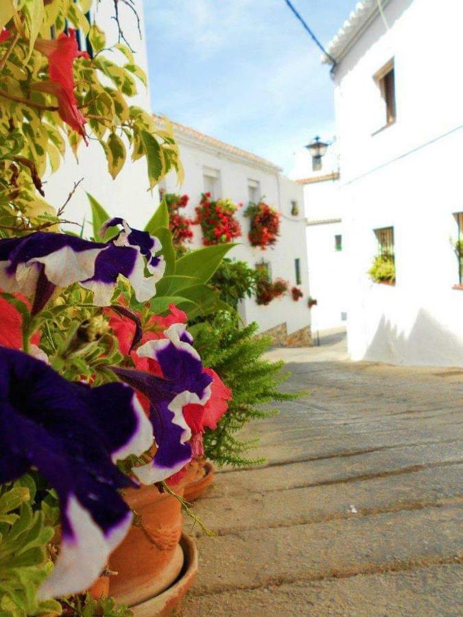 Valleverde Apartment Fuengirola Εξωτερικό φωτογραφία